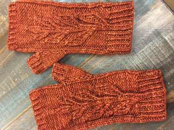 Jenny's Madelinetosh Tosh DK Verdure Mitts - Main Image 1